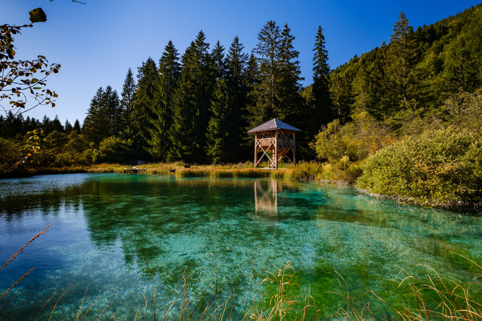 Emerald Zelenci springs near Kranjska Gora, a day trip from Bled